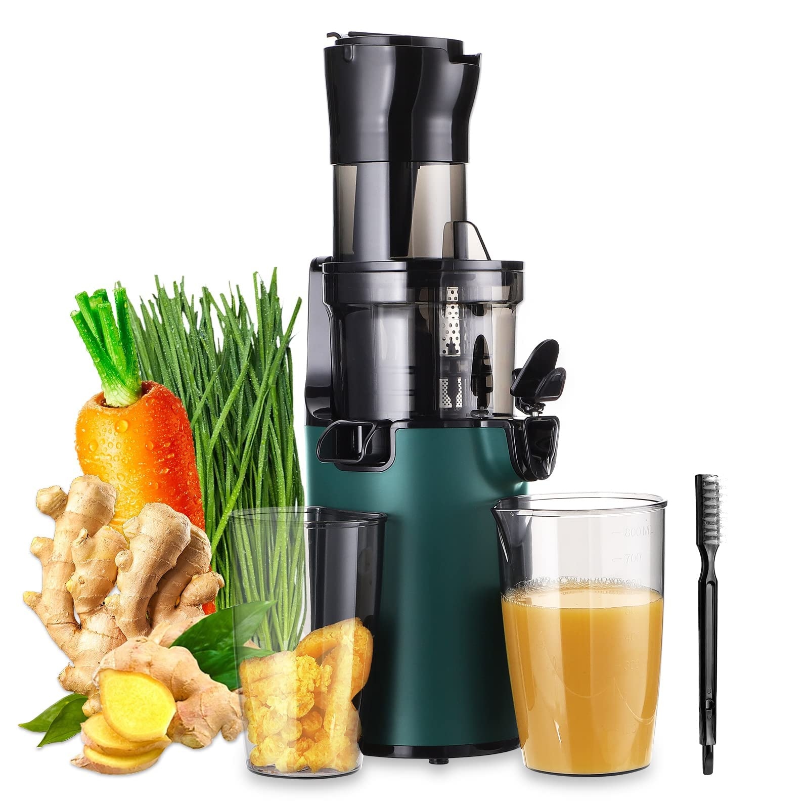 Bed bath store and beyond juicer